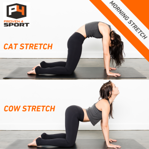 cat cow morning stretch for blog on workout recovery